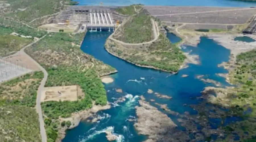 Design sem nome (62)